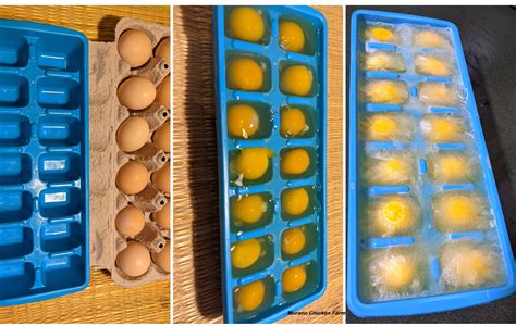 Freezing of unfruited eggs